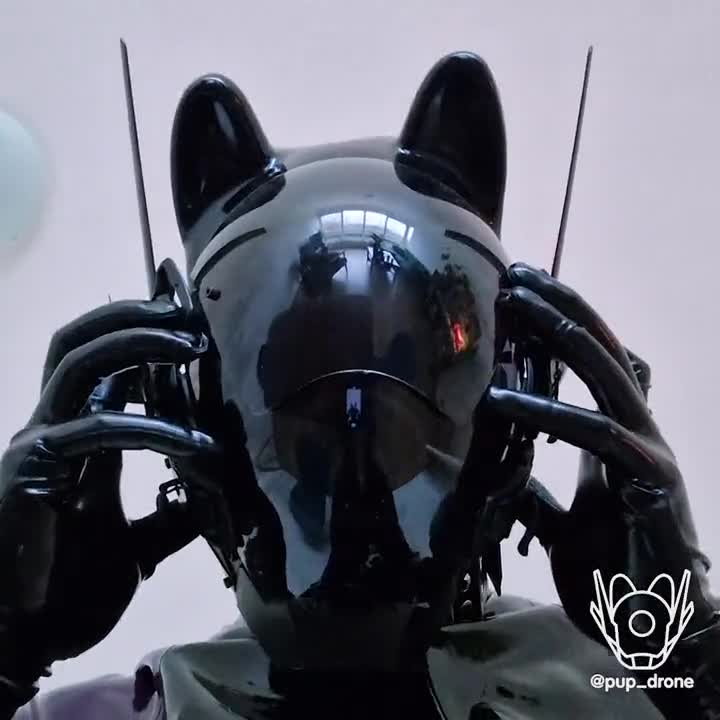 Video by @pup_drone