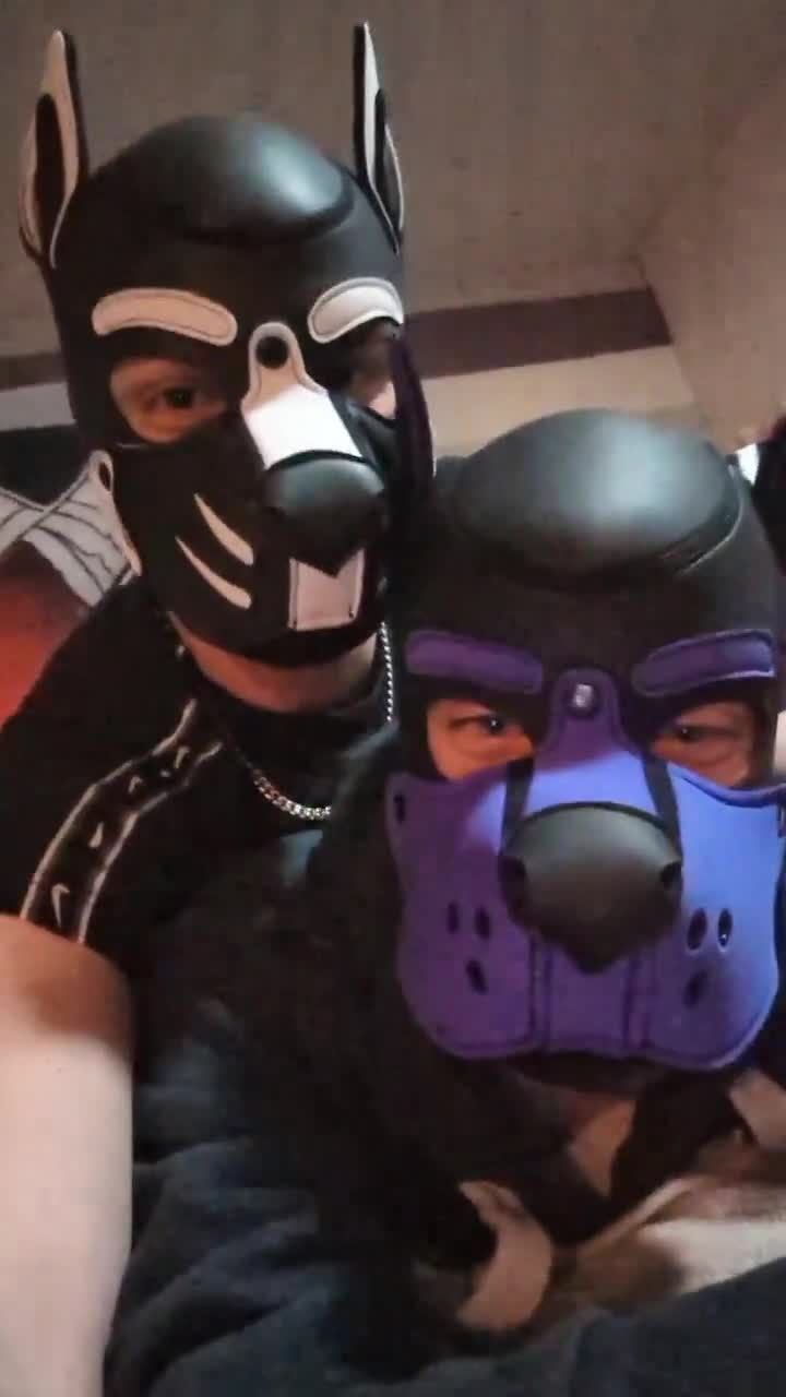 Video by @PupKemriss