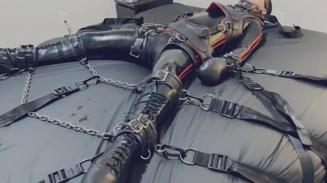 Video by @pup_tiger