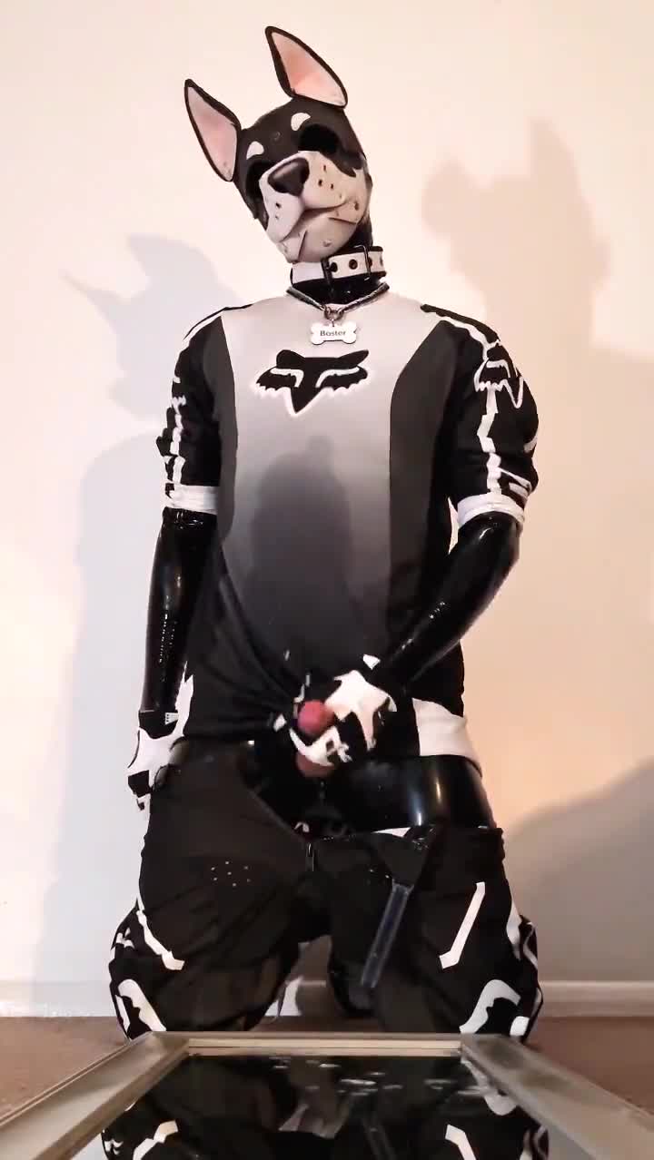 Video by @PupBoster