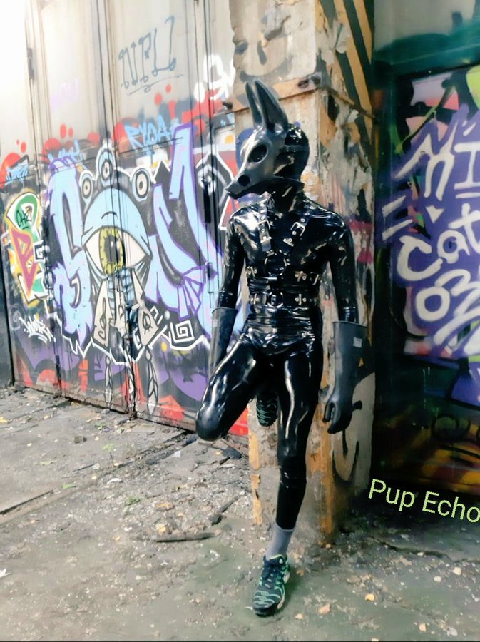 Photo by @Pup_Echo