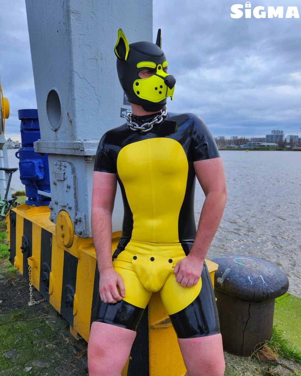 Photo by @PuppySigma