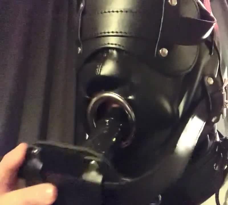 Video by @LouisMaster_Pup